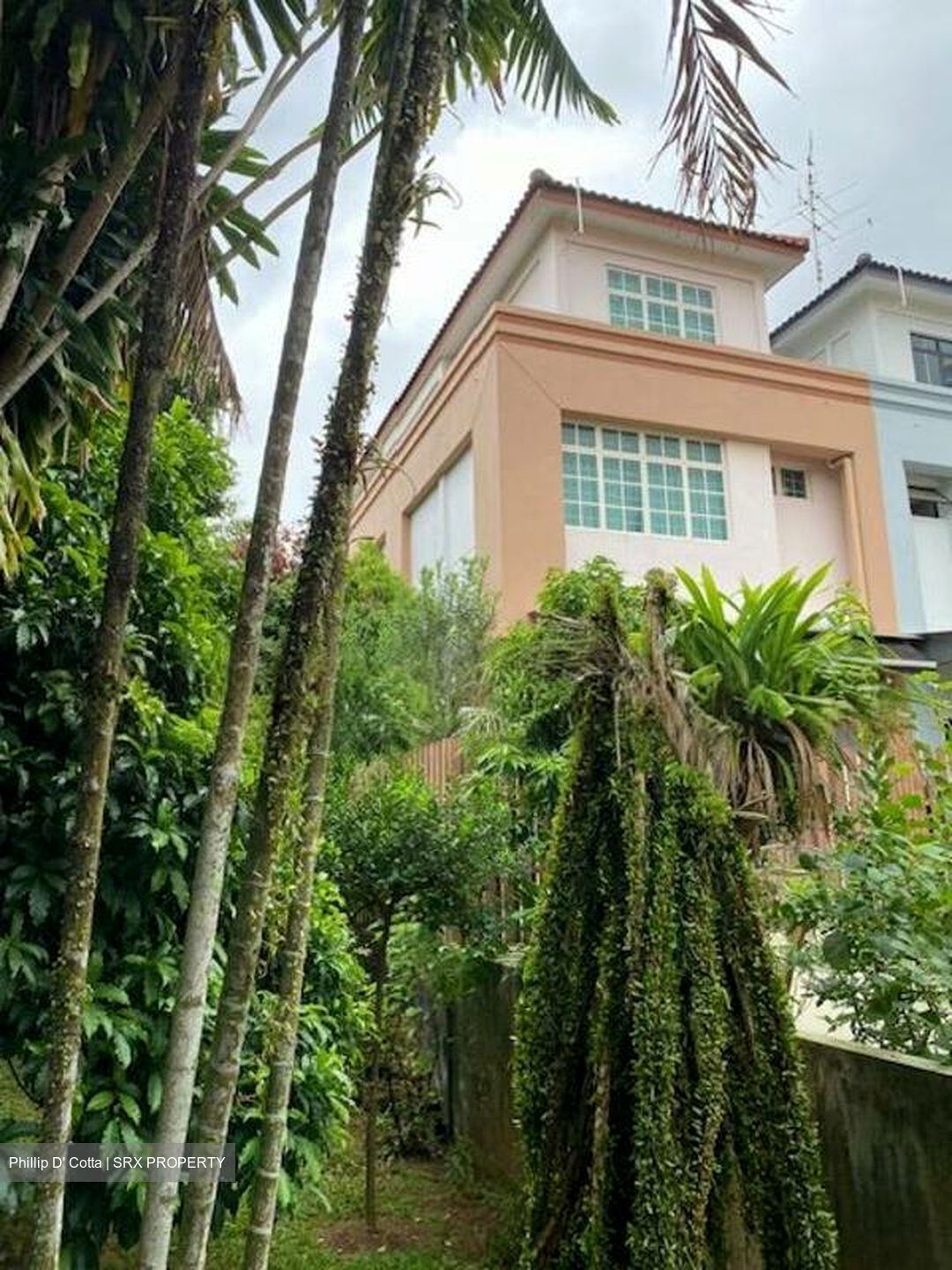 Gerald Drive (D28), Terrace #503534051